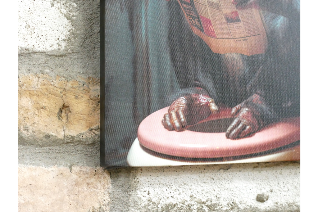 Chimpanzee with Glasses Canvas Print - Funny Bathroom Monkey Wall Art