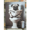 Pug On The Loo - Canvas