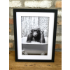 Chimp In The Bath - Frame