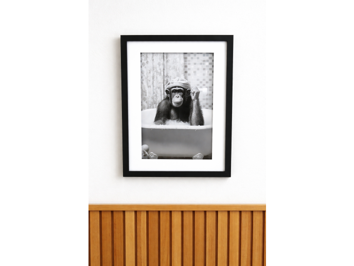 Chimp In The Bath - Frame