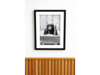 Chimp In The Bath - Frame