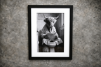 Funny Highland Cow on Toilet Framed Wall Art – Black & White Bathroom Decor Print