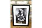 Funny Highland Cow on Toilet Framed Wall Art – Black & White Bathroom Decor Print