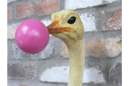Quirky Ostrich Bubblegum Wall Decor - Pink Bubble Resin Animal Head Art