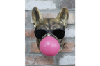 Gold French Bulldog Bubblegum Wall Decor - Pink Bubble Resin Dog Art