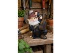 Dancing Gnome