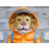 Puffer Jacket Lion