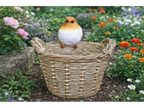 Robin On A Basket