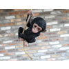 Baby Monkey On A Rope