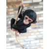 Baby Monkey On A Rope