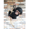 Baby Monkey On A Rope