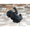 Baby Monkey On A Rope