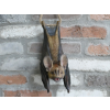 Hanging Bat