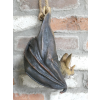 Hanging Bat