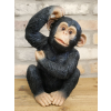 Scratching Monkey