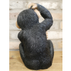 Scratching Monkey