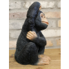 Scratching Monkey