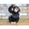 Scratching Monkey