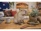 Sitting Capybara