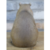 Sitting Capybara