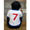 Up Yours England Monkey - Sitting
