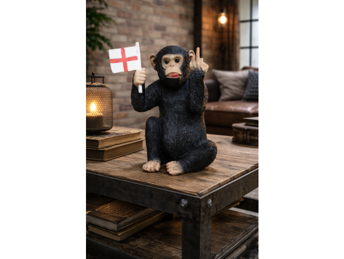 Up Yours Monkey With Flag