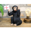 Up Yours Monkey With Flag