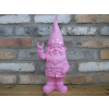 Rock n Roll Gnome - Small