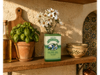 Olive Oil Vase