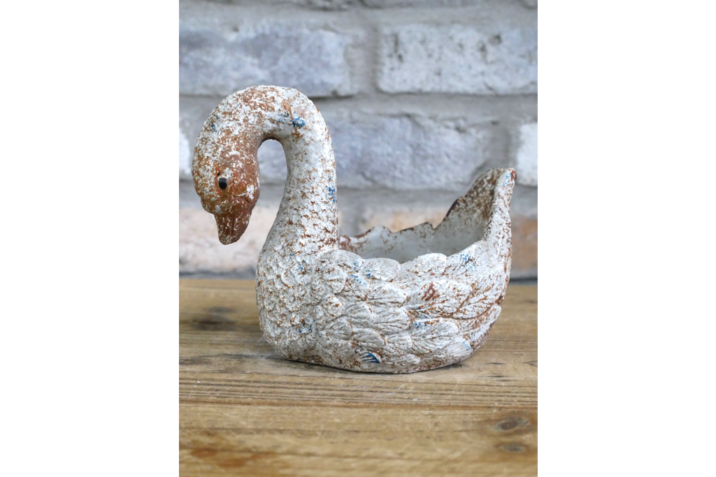 Swan