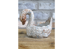 Swan