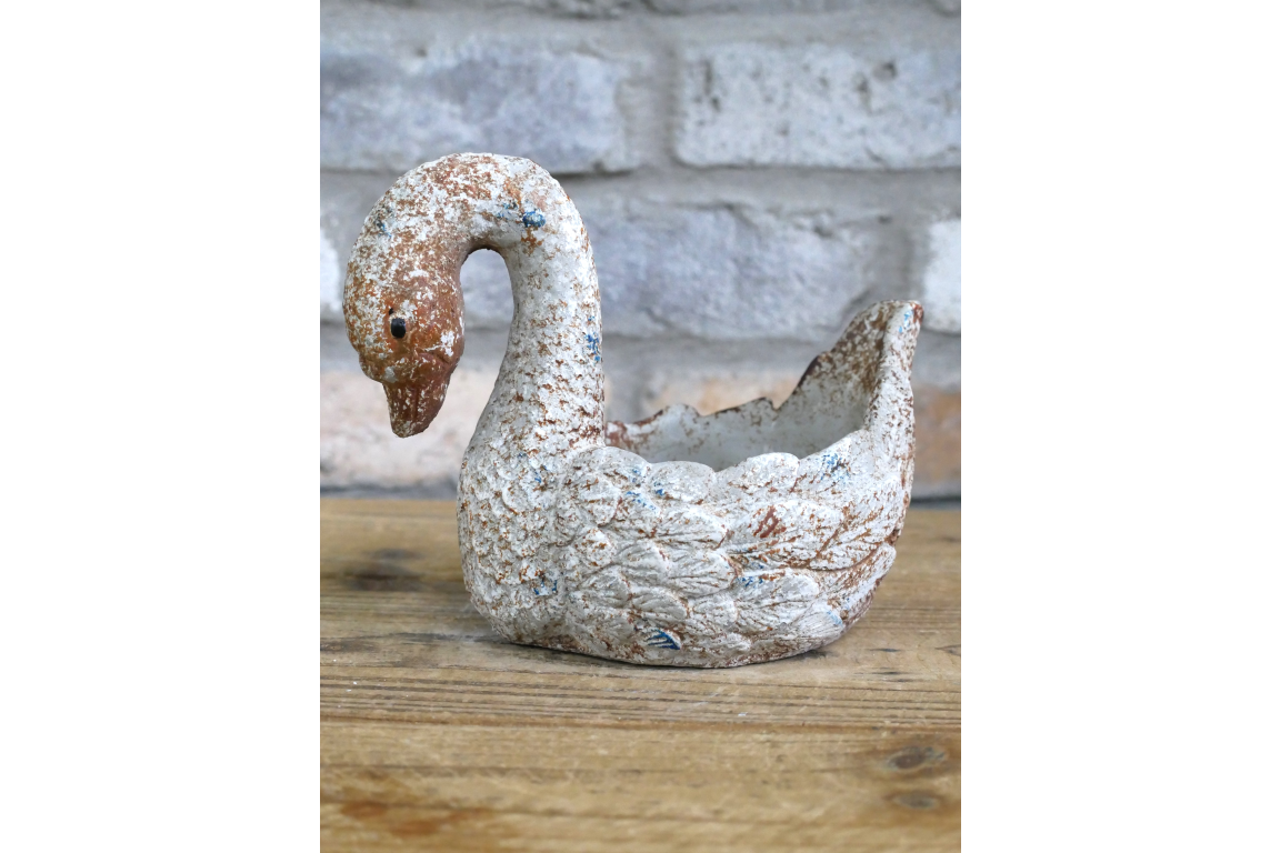 Swan