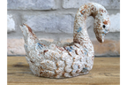 Swan