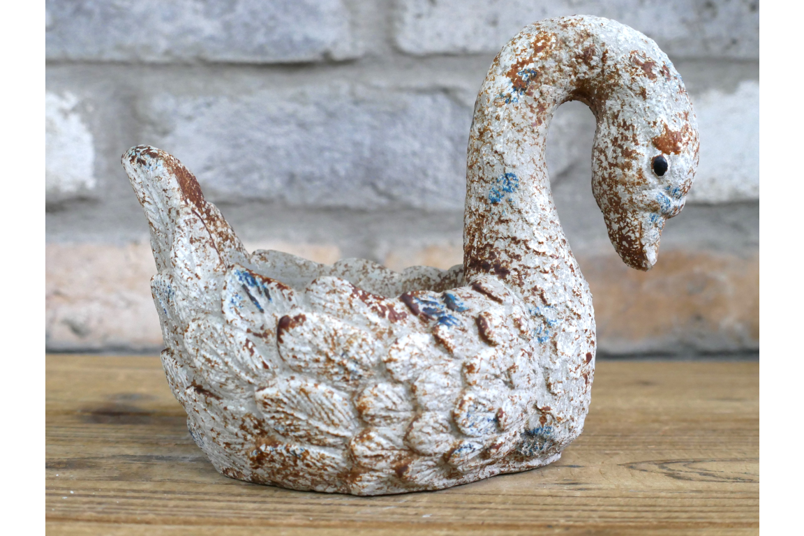 Swan
