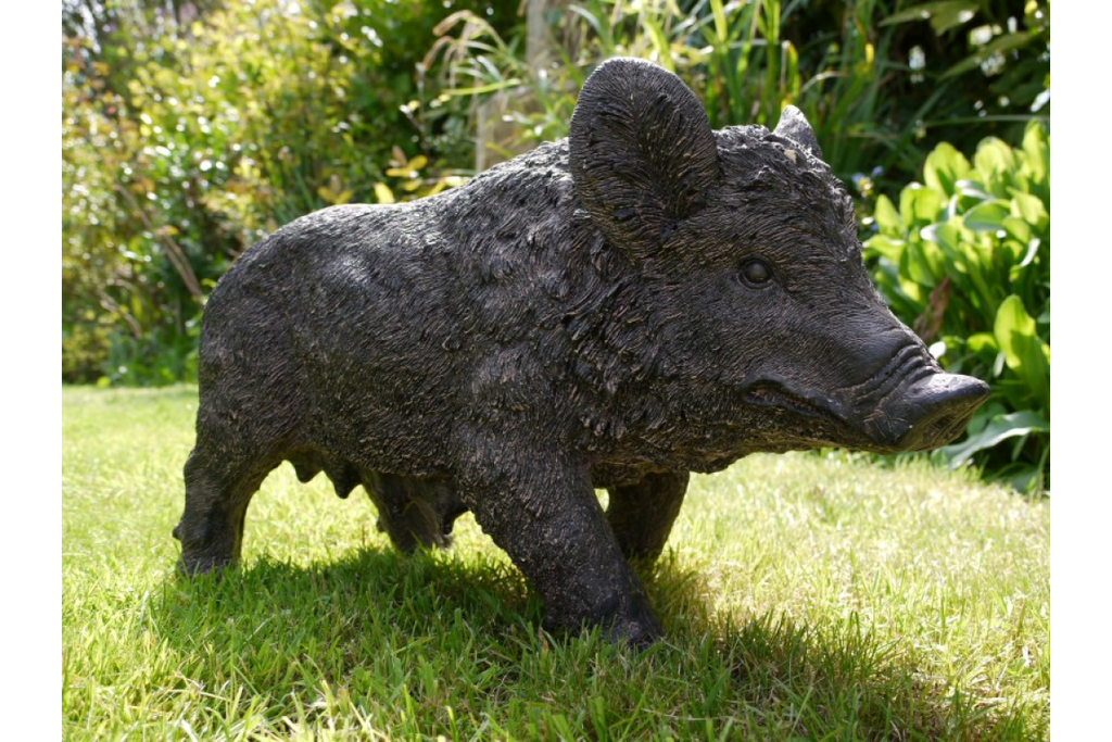Pig