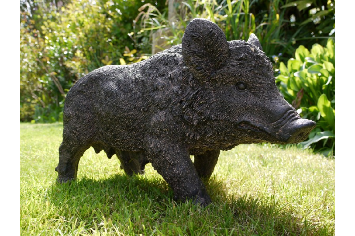 Pig