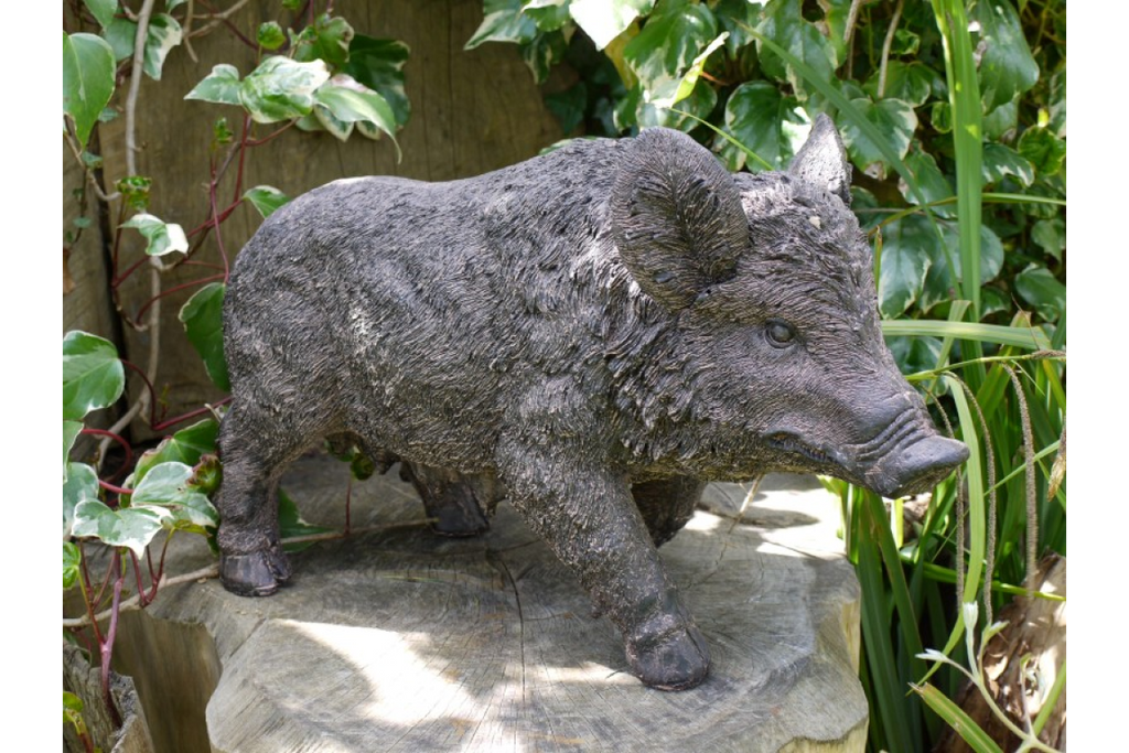 Pig