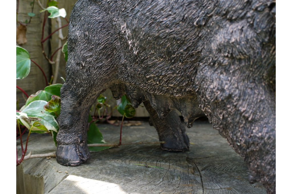 Pig