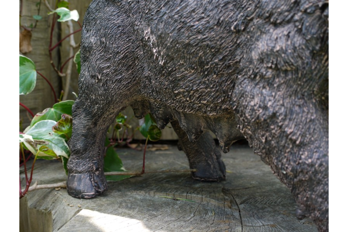 Pig