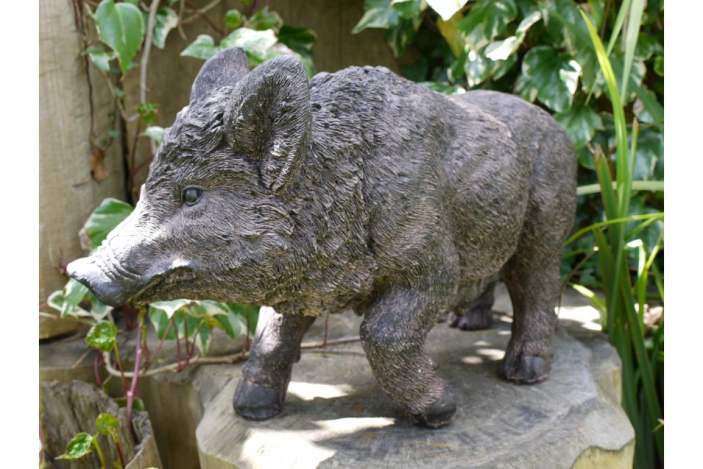 Pig