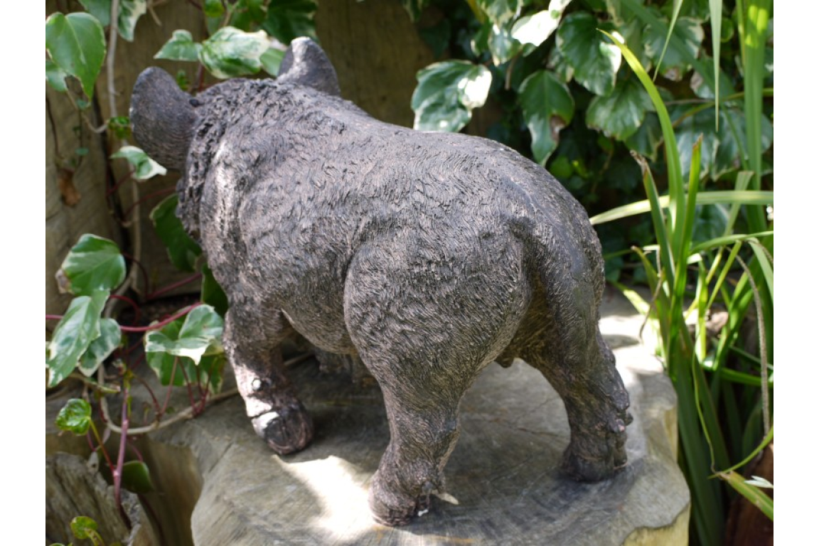 Pig