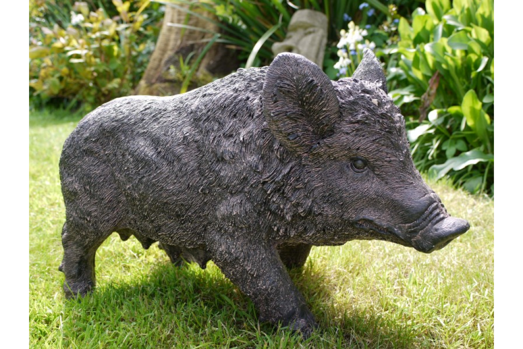 Pig