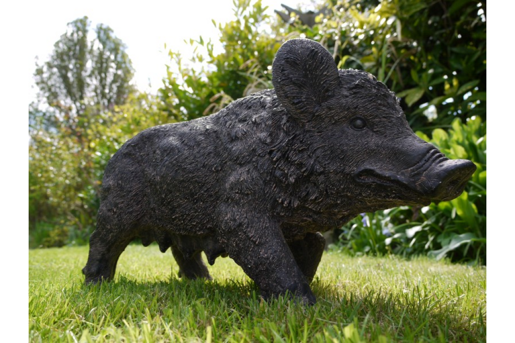Pig