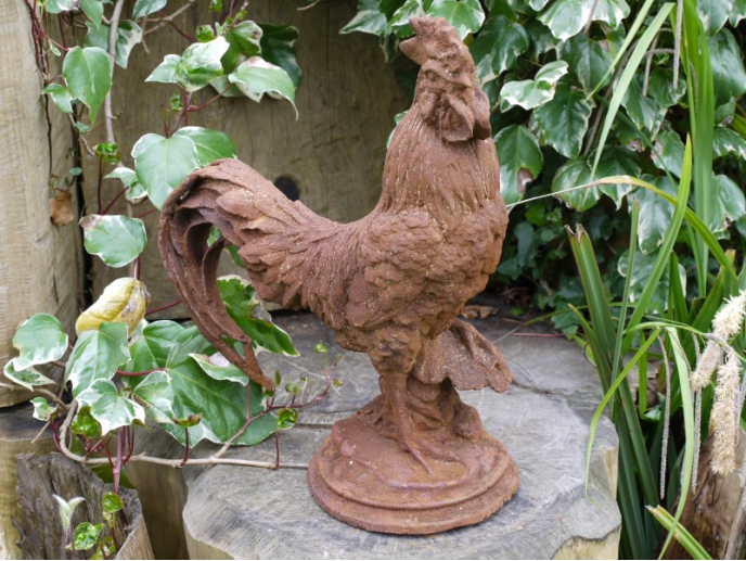 Cockerel (Sm/Rusty)