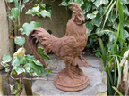 Cockerel (Sm/Rusty)