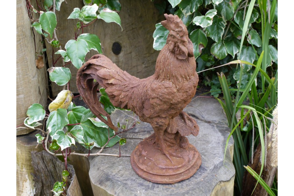 Cockerel (Sm/Rusty)