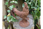 Cockerel (Sm/Rusty)