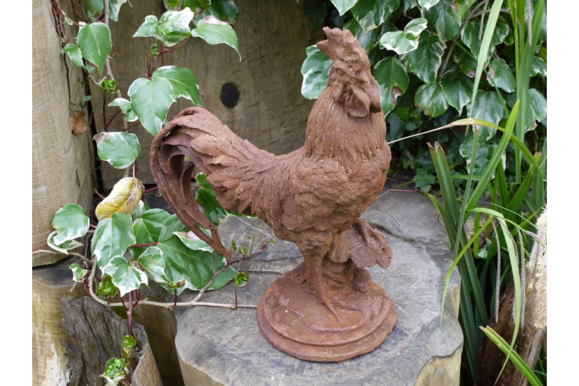 Cockerel (Sm/Rusty)