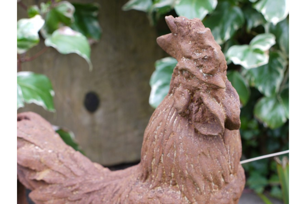 Cockerel (Sm/Rusty)