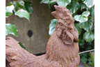 Cockerel (Sm/Rusty)